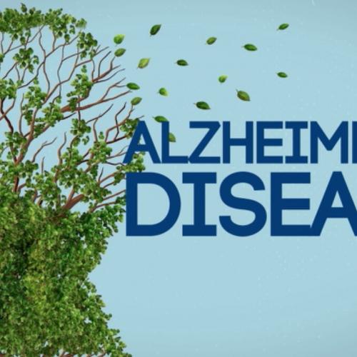 ალცჰაიმერის პროგრამა საქართველოში